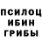Галлюциногенные грибы прущие грибы _DCLDM _