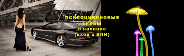 бошки Бородино