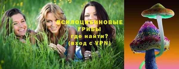 бошки Бородино