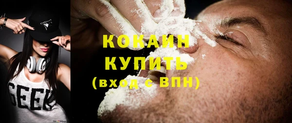 бошки Бородино